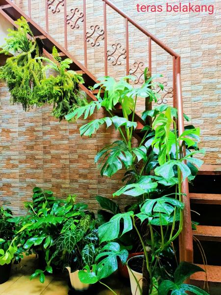 Rumah Dijual Siap Huni di Meadow Green Lippo Cikarang